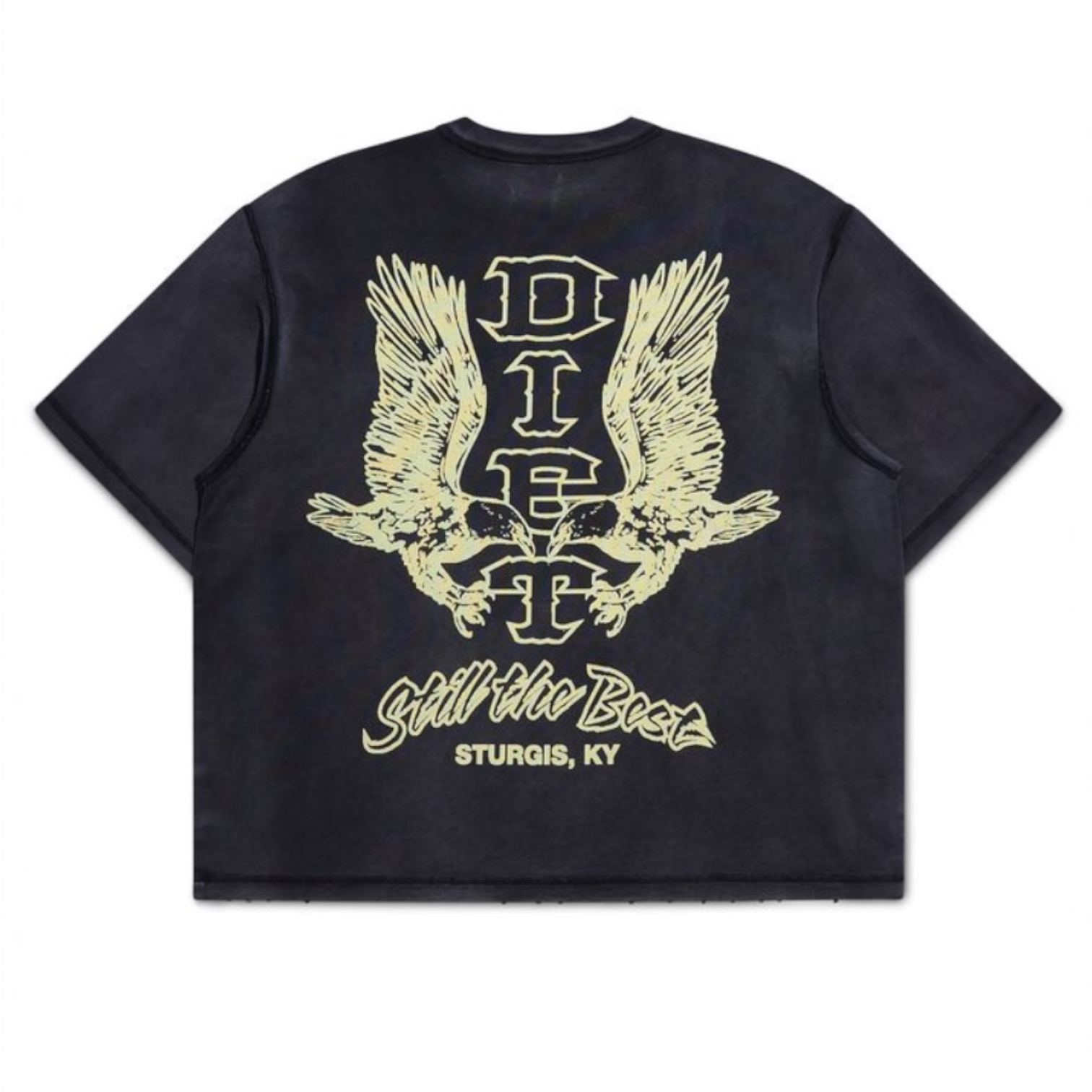 DSM Winged Eagle Tee-Washed black