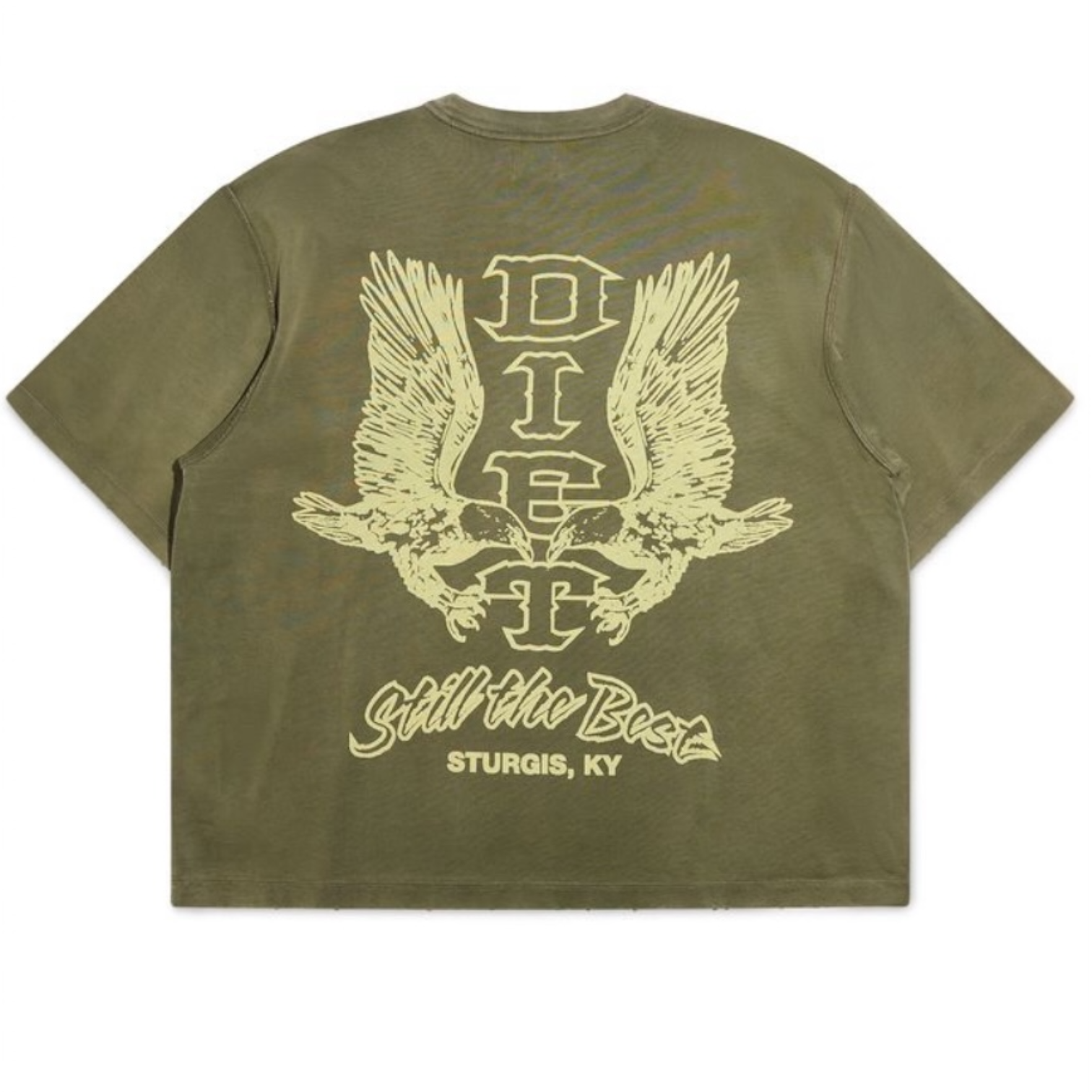 DSM Winged Eagle Tee-Washed Olive
